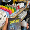 스테디독 이미지