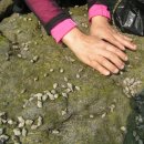 바닷길 풍경 이미지