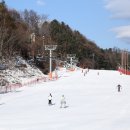 엘리시안 강촌 스키장 이미지