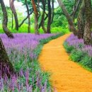 경주시립도서관 화장실 이미지