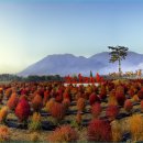 황산문화체육공원 국민여가캠핑장 이미지