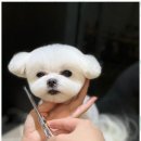 아르테미스학원 이미지