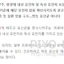 비멜트 이미지