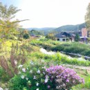 무창 농촌체험 휴양마을 이미지