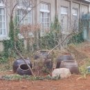 동강중학교 이미지