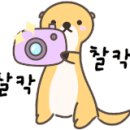 카페알롱제