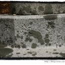 화담당 경화탑 이미지