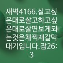 4시30분에시작하는하루.4166. 잠26:3 이미지