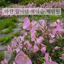 마산 코오롱한샘유치원 꿈마당 유아숲 체험원 꽃들과함께