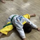 경희대정석태권도