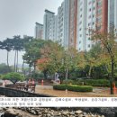 양지마을2로 이미지