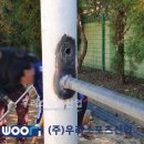 감정중학교 이미지