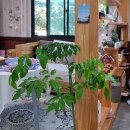 햇살찬농장 이미지