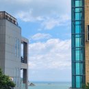 송정코다리 이미지