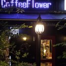 당현천 차없는거리 이미지