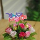 마법나무예쁜손글씨