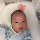 헤이죠이 이미지