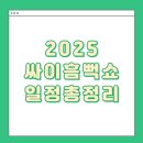 2025 싸이흠뻑쇼 일정(+티켓팅,꿀팁)