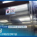 장선배기길 이미지