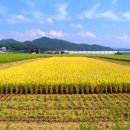 고성군농협쌀조합공동사업법인 이미지