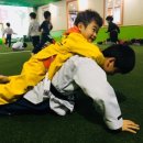 경희대 호림 태권도장 이미지