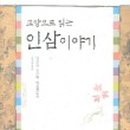 인삼불로초 이미지