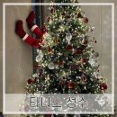 타니노 | 성수) 타니노 성수/ 성수연방 트리 내돈내산 후기[크리스마스트리/ 와인바/ 분위기술집/ 트리맛집]