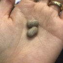 홍산한의원 이미지