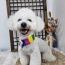 지개동산 이미지