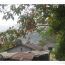 아롱이네 농장 이미지