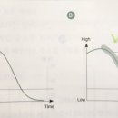 부장님은 내 기획서가 쓰레기라고 말했지 이미지