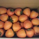 수지농장 이미지