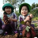 으뜸원 어린이집 이미지