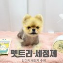 올인 크리닝 | [토일러] 반려동물 생활용품 올클리어! 친환경 인증 저자극 세정제 펫트리 올인원펫 후기