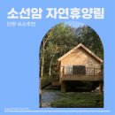 싸이버 21 | [단양] 단양 숙소추천 단양커플 숙소추천 소선암 자연휴양림 트리하우스 강 자세한후기