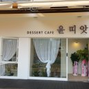 가정의 달 선물 생화 케이크 [ 도래울 카페 윤띠앗 ] 내 돈 내산 후기!