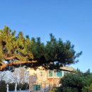 스테이복 이미지