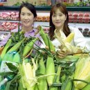 초당유통