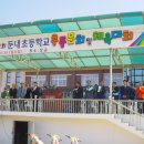 우리들의 꿈들 이미지