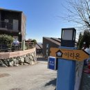 이리온애견펜션 이미지