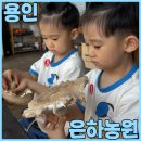 39개월 쌍둥이 용인체험 은하농장 에서 버섯체험 및 아쿠아포닉스 트로픽 체험 하고 왔어요