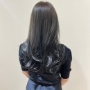 머스트브이 이미지