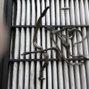 산본카센타 이미지