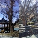 비들지낚시터 이미지