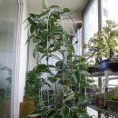 만남세탁소 이미지