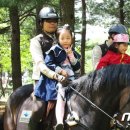 춘천 송암스포츠타운 승마장 이미지