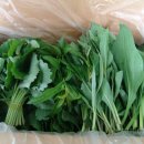 풍산마을영농조합 이미지