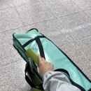 탐바얀 - 아산시 | 필리핀 세부 DAY 1 / 광기로 새벽 3시에 모알보알 버스타고 가자마자 거북이, 정어리런 함 #프리다이빙