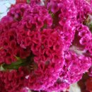 흙집정원 이미지