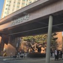 멍멍택시1 이미지